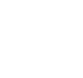 LogoDenox